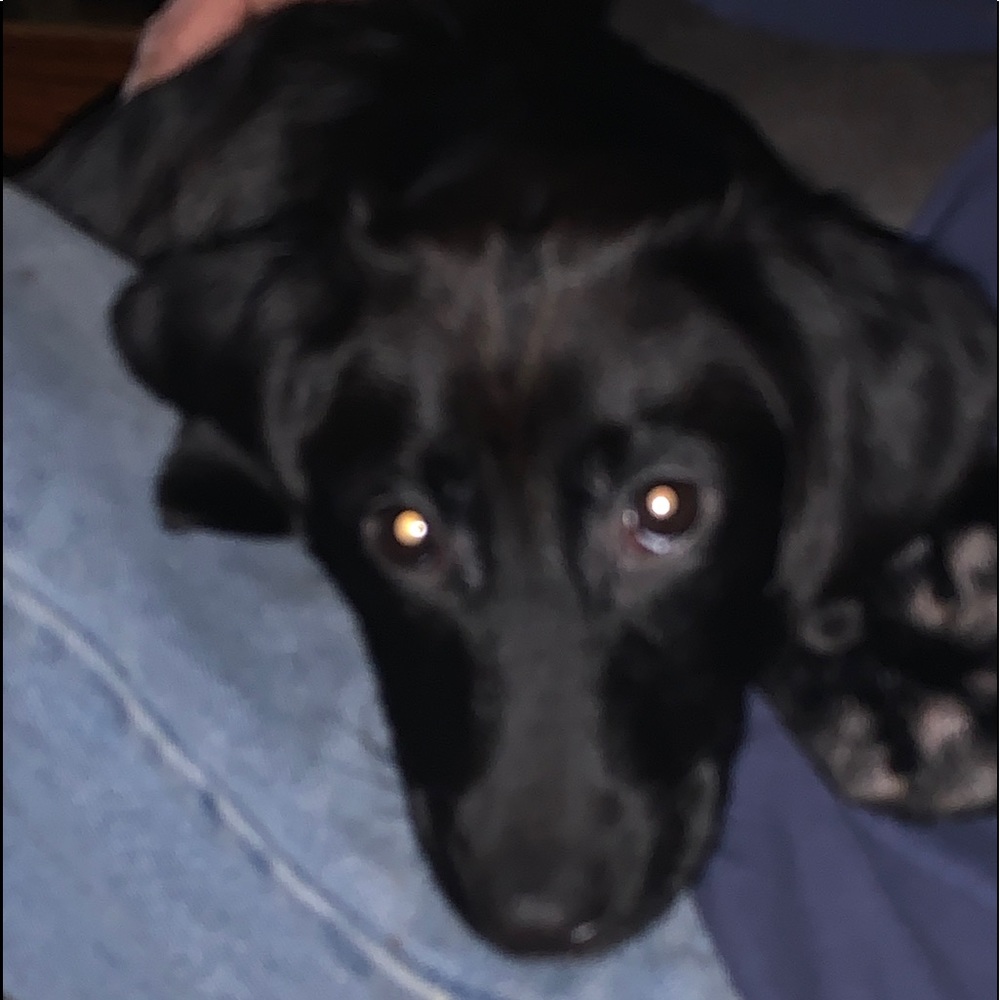 Meet your Posher, Cheryl